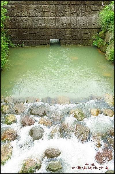 大溝溪步道_046.jpg