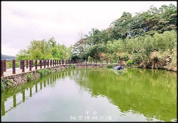 樟樹步道-2_011.jpg