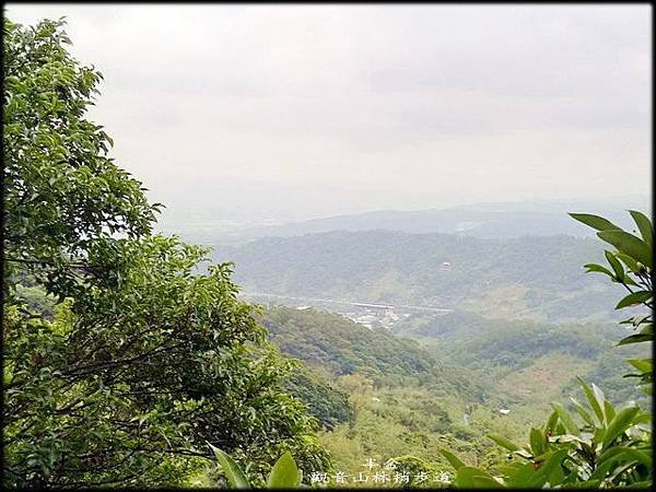 觀音山林梢步道-1_004.jpg