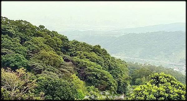 觀音山林梢步道-1_006.jpg