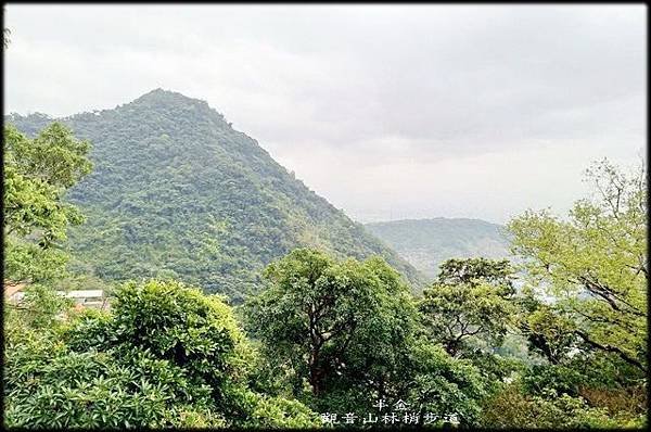 觀音山林梢步道-1_015.jpg