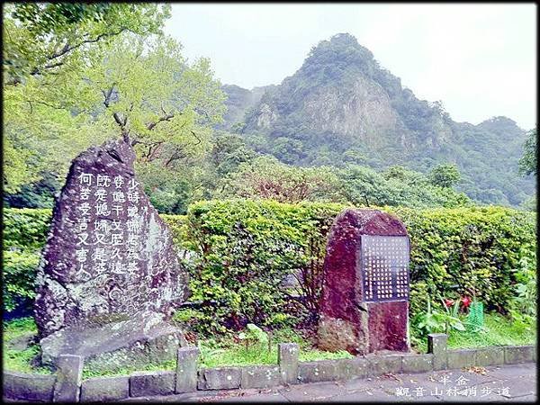 觀音山林梢步道-1_020.jpg