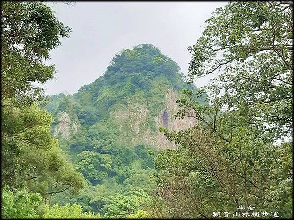 觀音山林梢步道-2_013.jpg