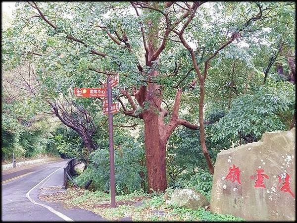 觀音山林梢步道-2_014.jpg