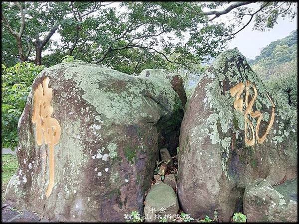 觀音山林梢步道-2_019.jpg