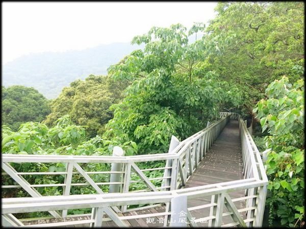 觀音山林梢步道-2_023.1.jpg