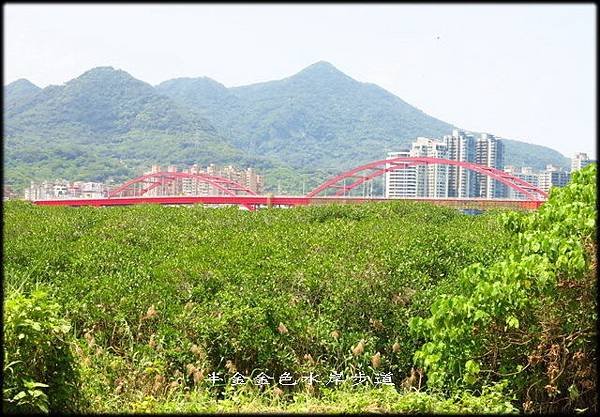 金色水岸自行車步道_008.jpg