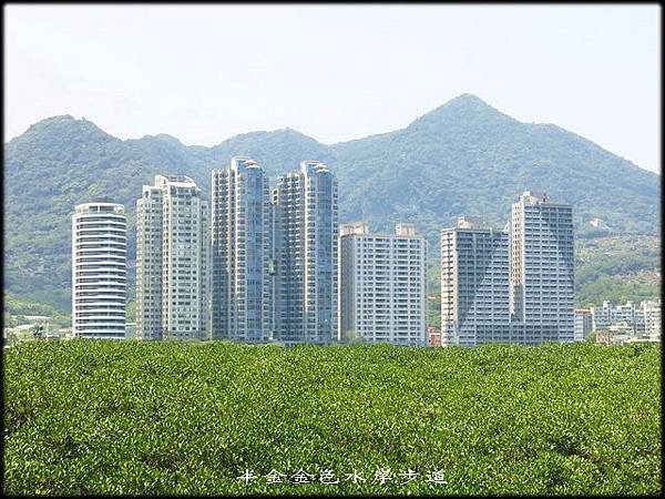 金色水岸自行車步道_016.jpg