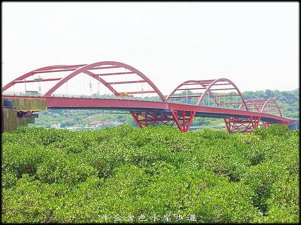 金色水岸自行車步道_021.jpg