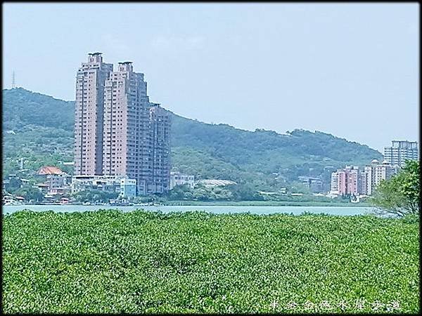 金色水岸自行車步道-1_005.jpg