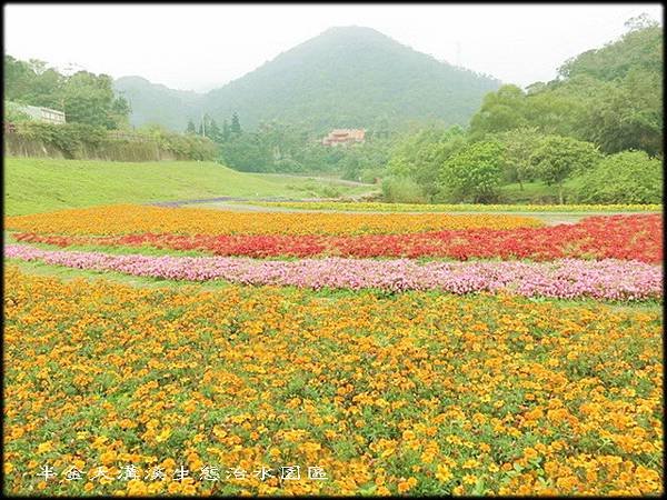 大溝溪生態治水園區_022.jpg