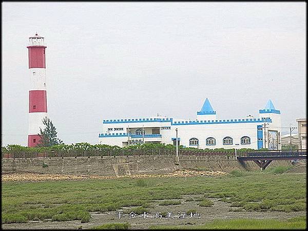 清水高美溼地_029.jpg