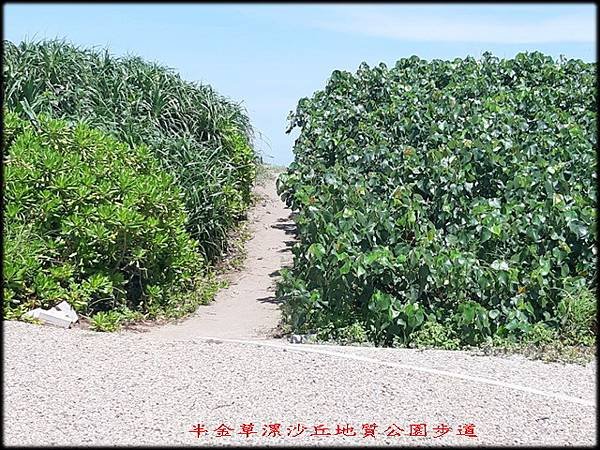 草漯沙丘地質公園步道_030.jpg