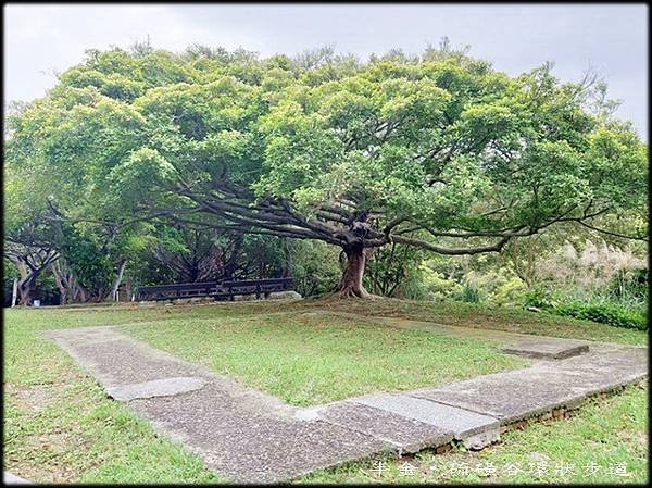 硫磺谷環狀步道_063.jpg
