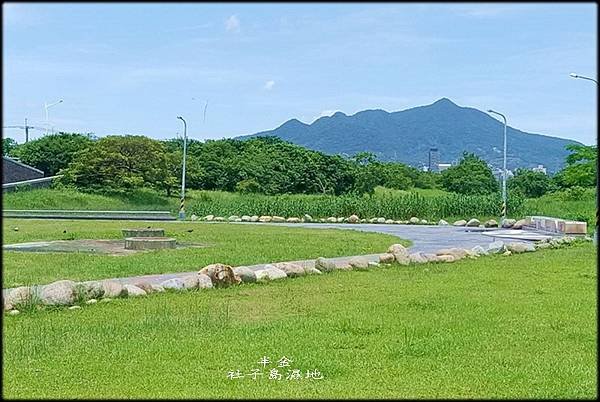 社子島濕地-1_016.jpg