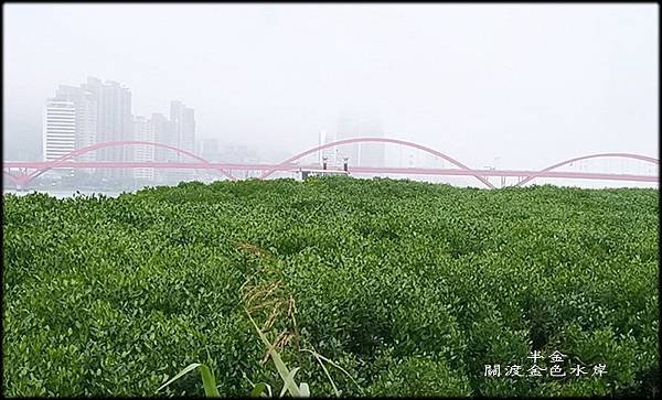 關渡金色水岸-1_001.jpg