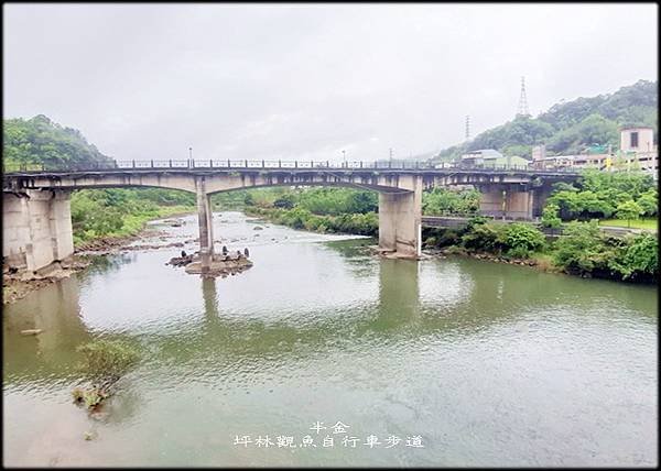 坪林觀魚自行車步道_003.jpg