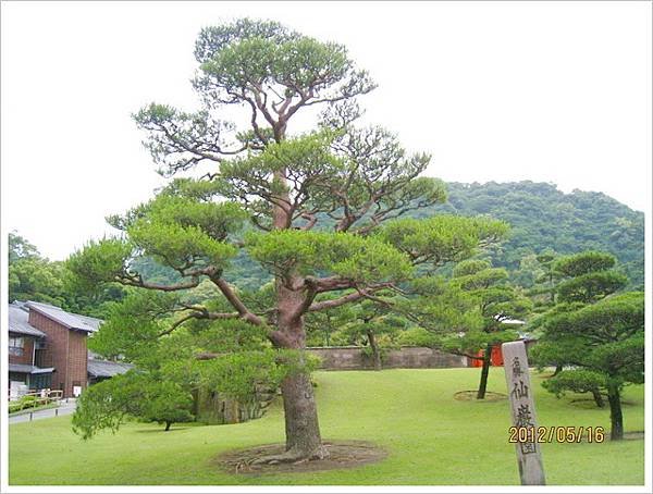 鹿兒島、宮崎五日遊-〈2〉_0088.jpg