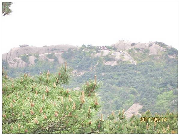 大陸黃山六日遊_319.jpg