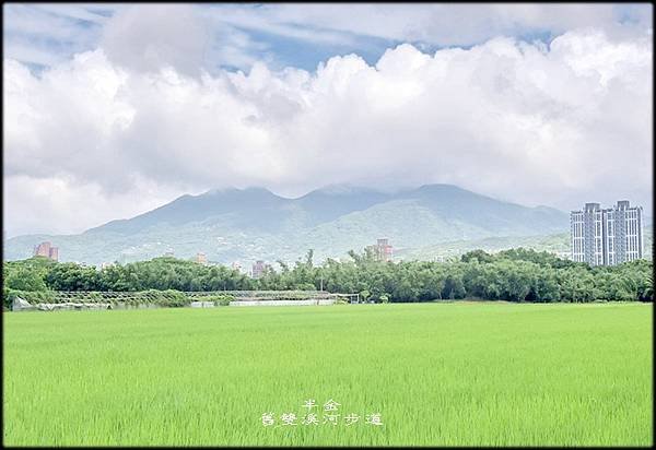 舊雙溪河步道_026.jpg