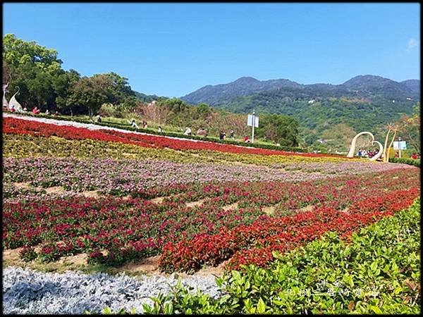 北投三層崎賞花_023.jpg