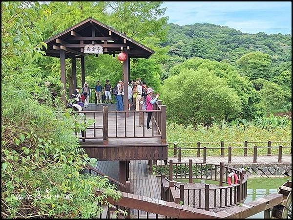 貓空樟樹步道_022.jpg