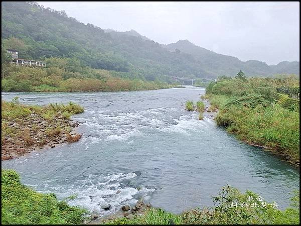 坪林東昇快炒_019.jpg