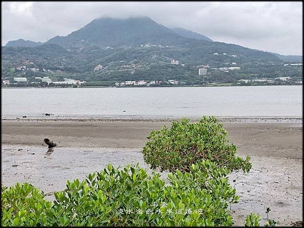 淡水金色水岸逍遙遊_043.jpg