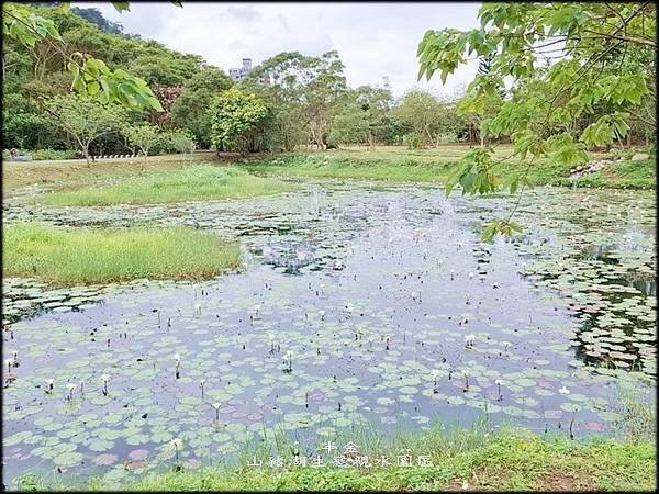 山豬湖生態親水園區_049.jpg