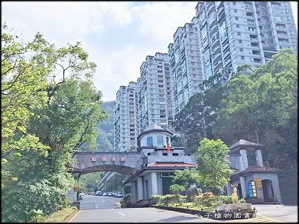二叭子植物園賞櫻_003.jpg