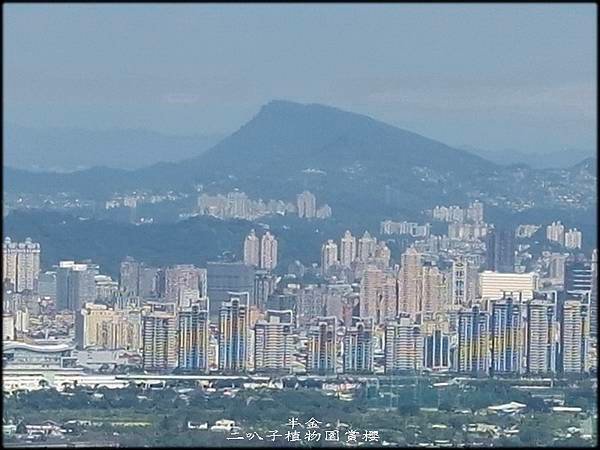 二叭子植物園賞櫻_046.jpg