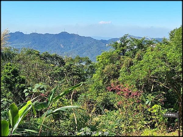 二叭子植物園賞櫻-1_009.jpg