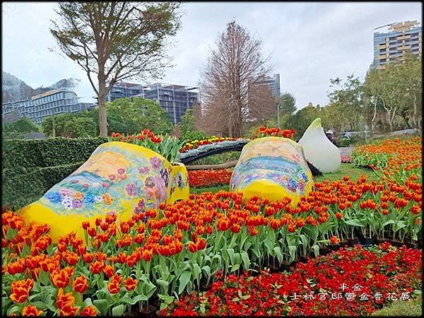 2025士林官邸鬱金香花展_008.jpg