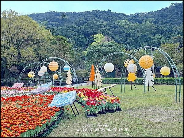 2025士林官邸鬱金香花展_042.jpg
