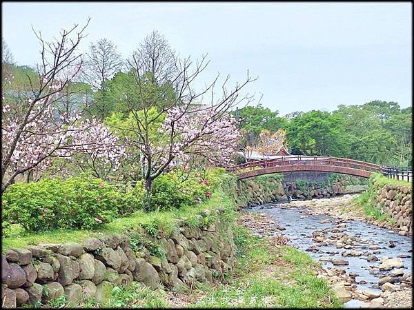 2025三生步道賞櫻-1_035.jpg
