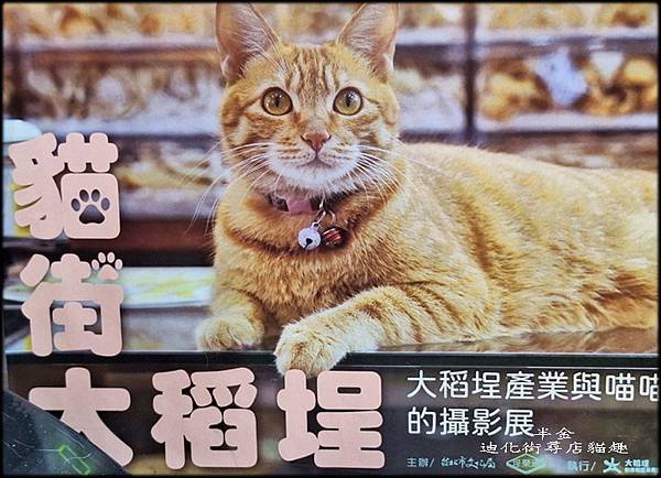 迪化街尋店貓趣-1_018.jpg