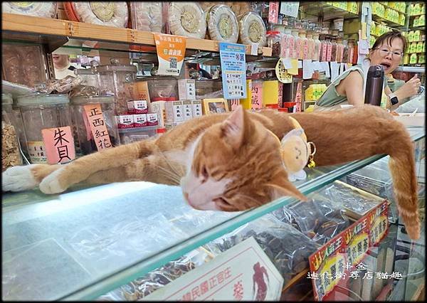 迪化街尋店貓趣-1_034.jpg