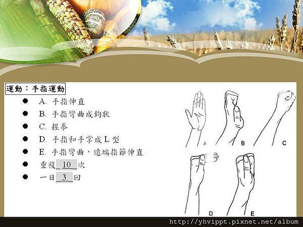 手-手指運動.jpg