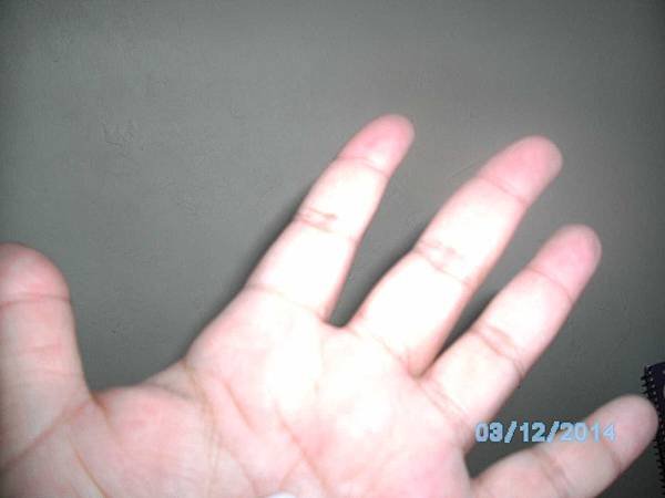 PICT1532