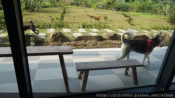 DSC05771.JPG