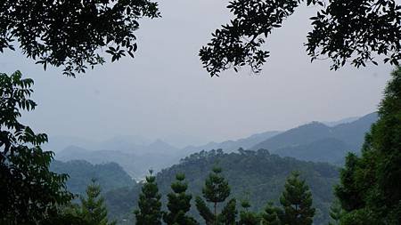 DSC06924.JPG