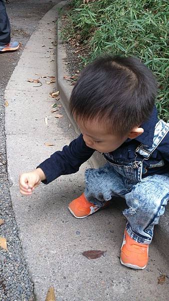 2014-10-26 10.02.04.jpg
