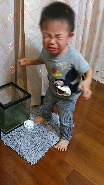 2014-11-06 22.47.35.jpg