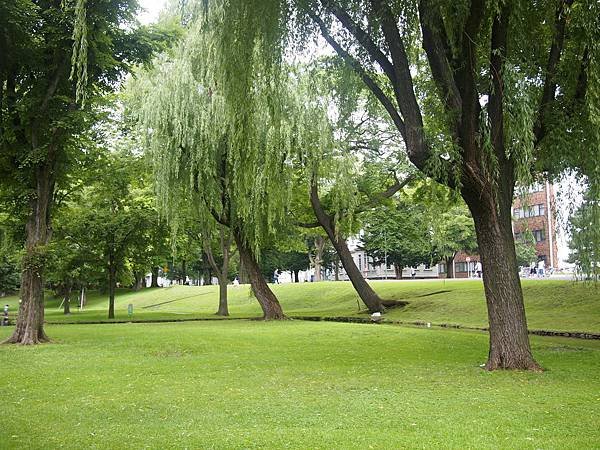 P7307160.JPG