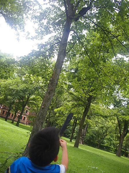 P7307187.JPG