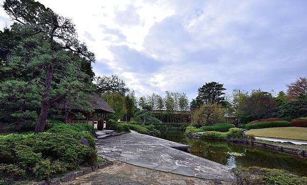 DSC_1771-1_4125.JPG