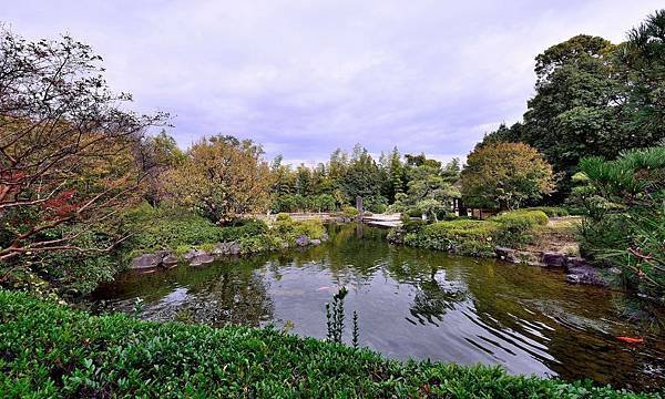 DSC_1783-1_4136.JPG