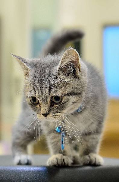 DSC_3881-1_4382.JPG
