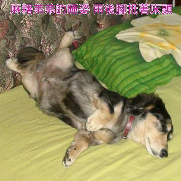 生活8