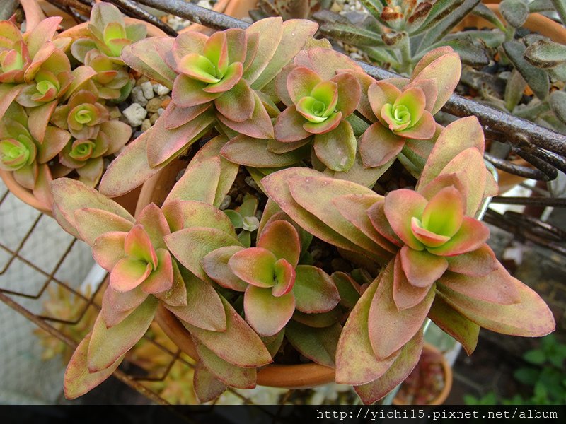 DSCF9317.JPG